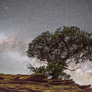 亚洲二区在线-NAINAIAV
